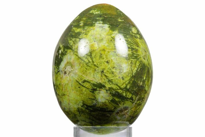 Polished Green Opal Egg - Madagascar #356170